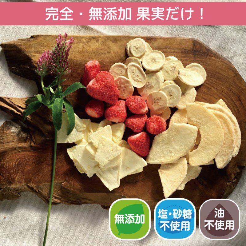 Mirai Fruits Freeze Dried Fruits Combo/Mirai Fruits未来果实100%天然冻干水果5包组合 9 month+ 10gx5bags