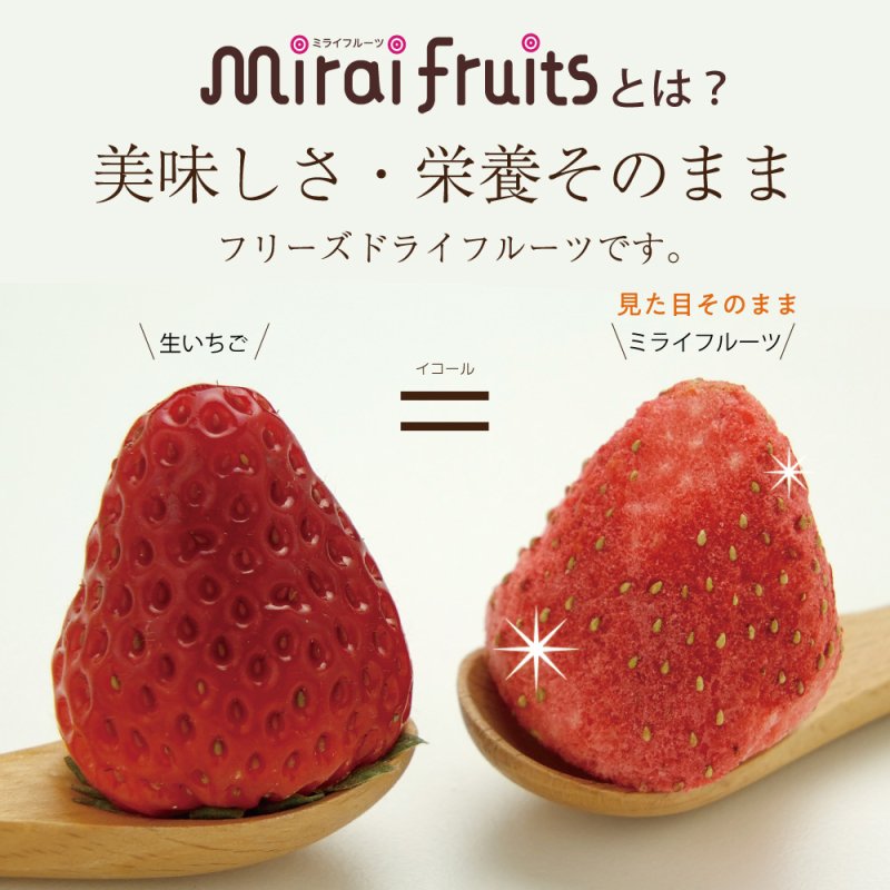 Mirai Fruits Freeze Dried Fruits Combo/Mirai Fruits未来果实100%天然冻干水果5包组合 9 month+ 10gx5bags