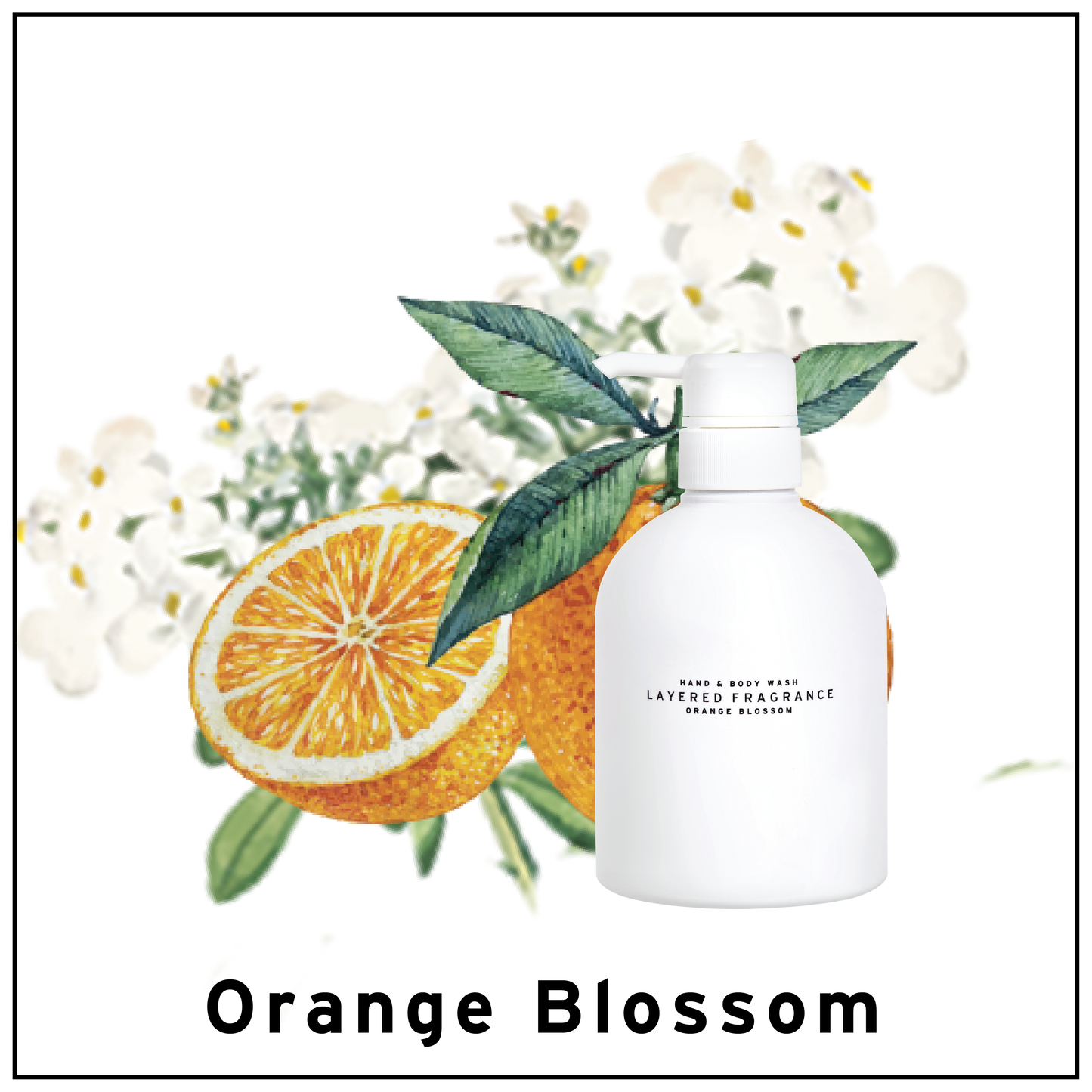 Layered Fragrance Hand and Body Wash-Orange Blossom/蕾野香氛洗手沐浴露 香橙花 500ml